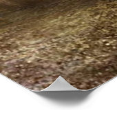 Poster Templer de Jérusalem (Coin)