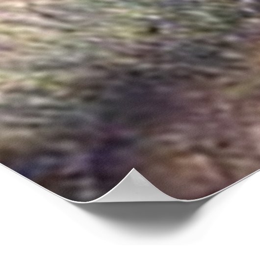 Poster Templer vor einer Burg (Coin)