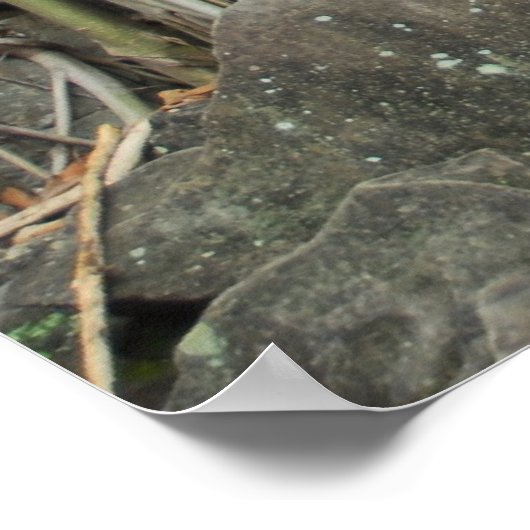 Poster temples angkor (Coin)