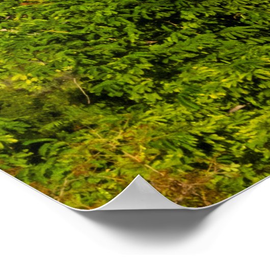 Poster Temples et pagodes | (Coin)