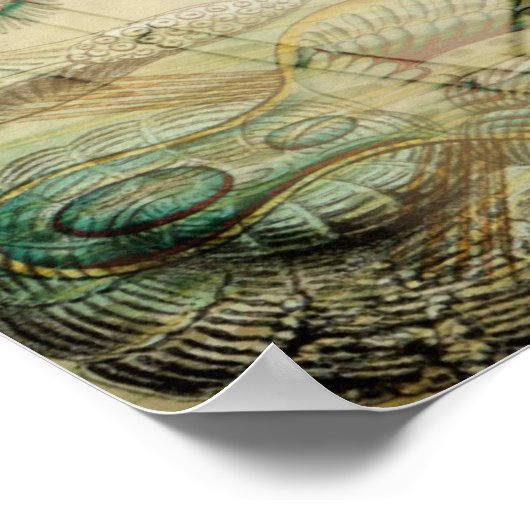 Poster Temps après (Coin)