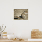 Poster Temps d'alimentation des écureuils (Cuisine)