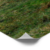 Poster Temps d'alimentation pour la vache de Guernesey (Coin)