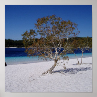 Poster Temps de détente