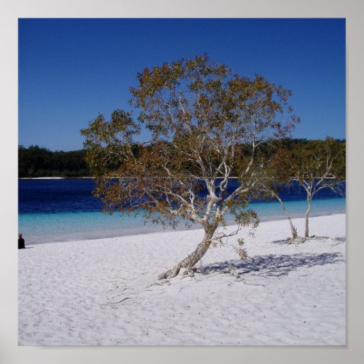 Poster Temps de détente (Devant)