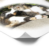 Poster Temps De Loisirs D'Un Collage De Chat Imprimer (Coin)