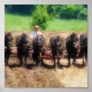 Poster Temps de plantation