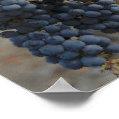 Poster Temps de récolte (Coin)