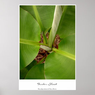 Poster Tendances d'appel d'offres