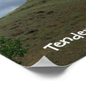 Poster Tenderfoot Hill (Coin)