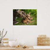 Poster Tendre Mère Moose (Cuisine)