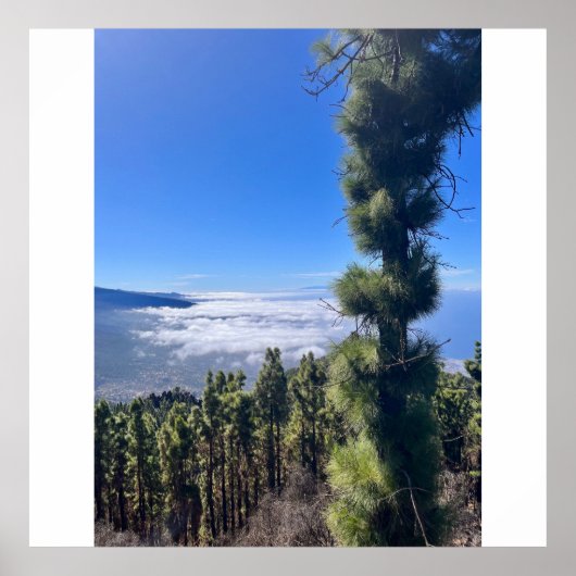 Poster Tenerife bliss.. (Devant)