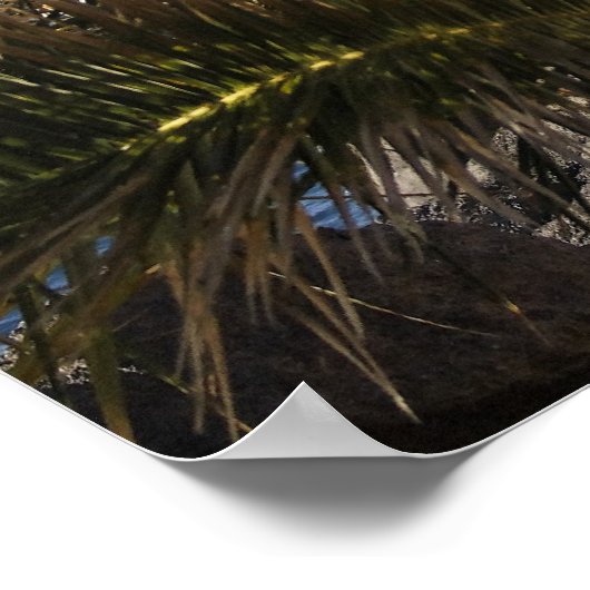 Poster Teneriffa (Coin)