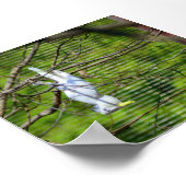 Poster Tenez-vous là (Coin)