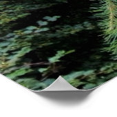 Poster Tenir bon (Coin)