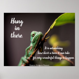 Poster 'Tenir bon' Frances Hodgson Burnett, caméléon