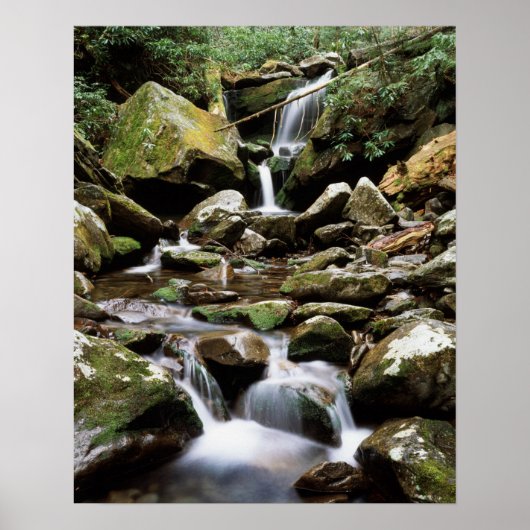 Poster Tennessee, Great Smoky Mountains National Park 2 (Devant)