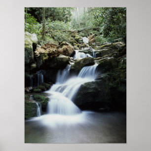 Poster Tennessee, Parc national des Great Smoky Mountains