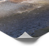 Poster Tennessee Walker Traversant L'Eau (Coin)