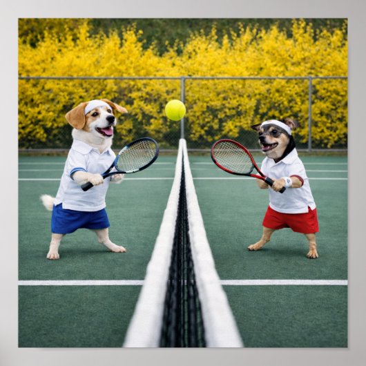 Poster "Tennis Anyone?" (Devant)