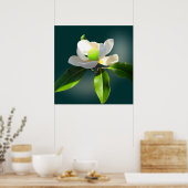 Poster Tennis Magnolia, tennis (Cuisine)