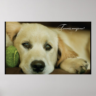 Poster Tennis qui que ce soit ?