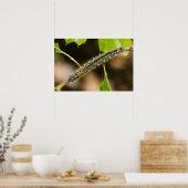 Poster Tente Caterpillar Wall Art (Cuisine)