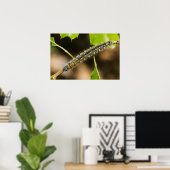 Poster Tente Caterpillar Wall Art (Bureau à domicile)