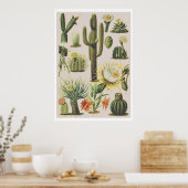Poster ter illustratie van botanische cactus (Keuken)