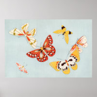 Poster ter illustratie van vlinder