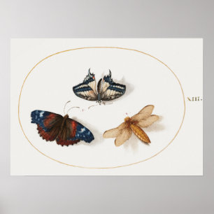 Poster ter illustratie van vlinder
