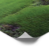 Poster Terace du riz de la rivière Katmandou (Coin)