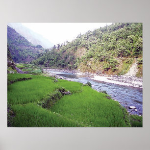 Poster Terace du riz de la rivière Katmandou