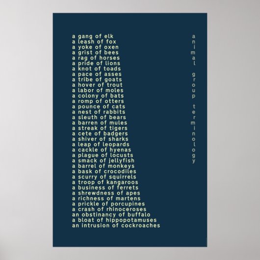 Poster Terminologie du groupe animal (Devant)