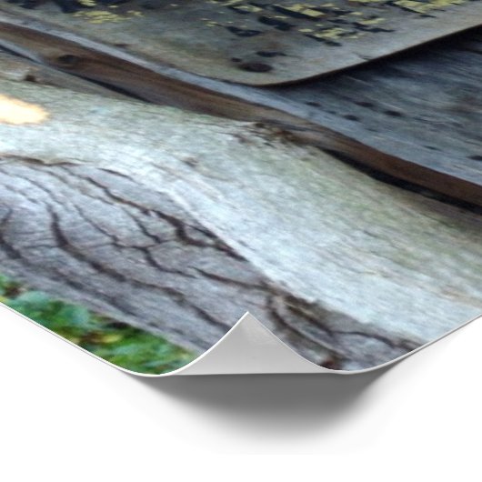 Poster Termites ? (Coin)