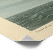 Poster Terne arctique (Coin)