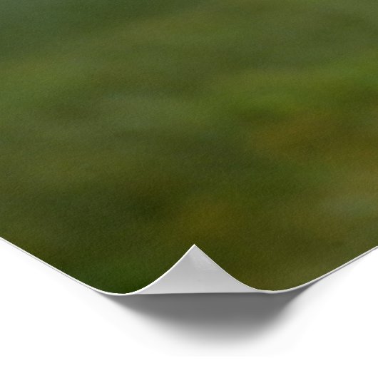 Poster - Terne en vol (Coin)