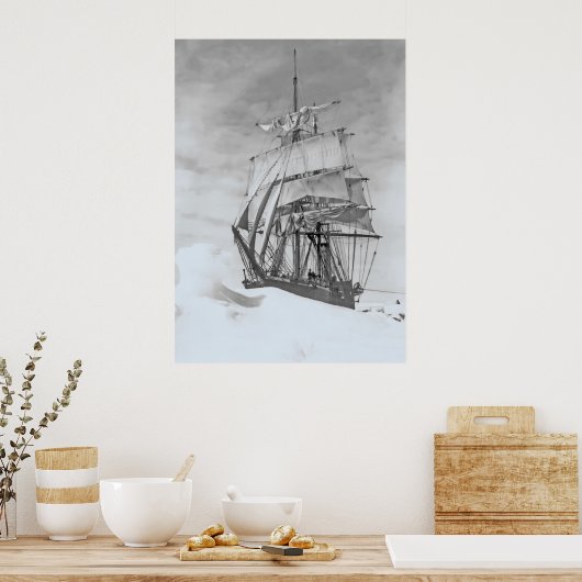 Poster Terra Nova (Cuisine)