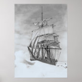 Poster Terra Nova (Devant)