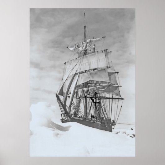 Poster Terra Nova (Devant)