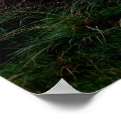 Poster terrain de golf Ballybunion vert luxuriant (Coin)