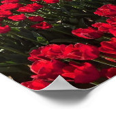 Poster Terrain de Red & Yellow (Coin)