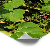 Poster Terrain de tournesol (Coin)