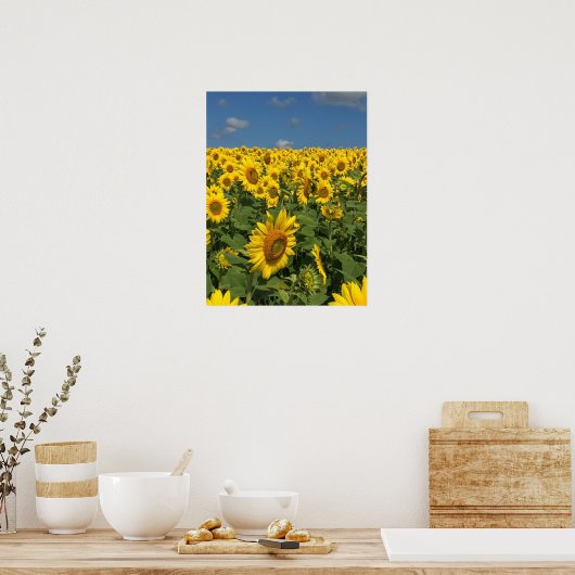 Poster Terrain de tournesol (Cuisine)