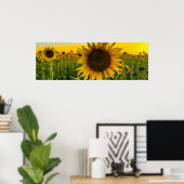 Poster Terrain de tournesol avec ciel d'or (Bureau à domicile)
