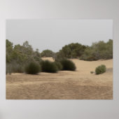 Poster Terrain désertique 1 (Devant)