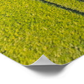 Poster Terrain d'herbe verte (Coin)