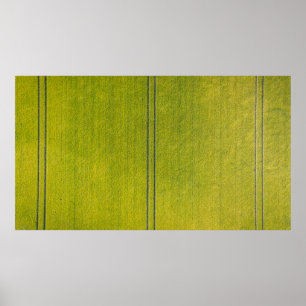 Poster Terrain d'herbe verte