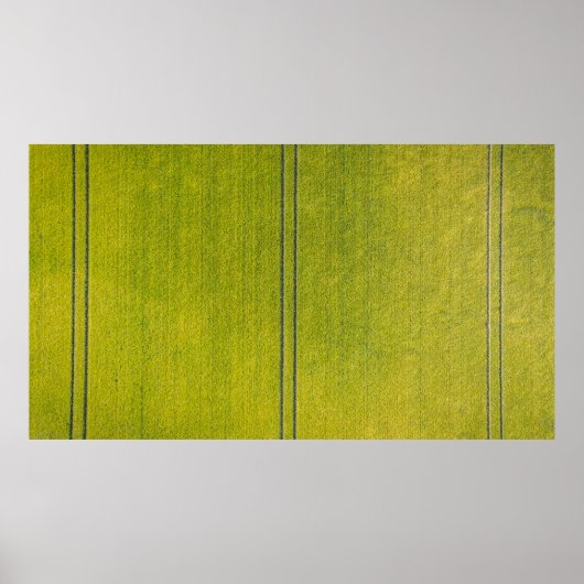 Poster Terrain d'herbe verte (Devant)