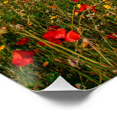 Poster terrain fleuri et arboré (Coin)
